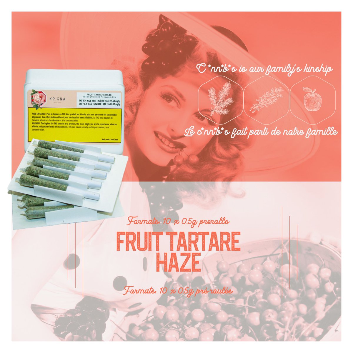Saviez-vous que notre Fruit Tartare Haze est disponible dans un paquet pratique de dix pré-rouleaux ? 😍💜🌱

•••••••

Did you know that our Fruit Tartare Haze is available in a handy pack of 10  pre-rolls?

#CannabisCommunity #Monday #cannabisindustry