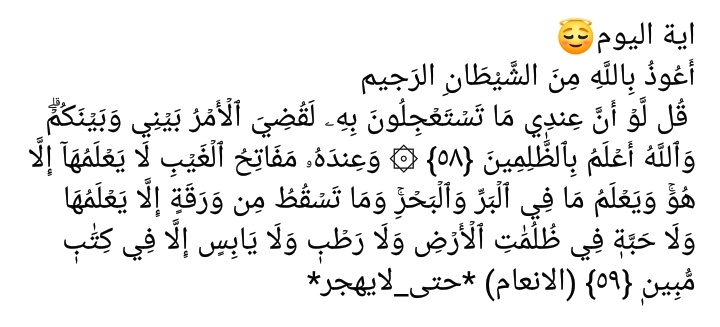 fatima_saed's tweet photo. https://t.co/E9PbeSKJkV