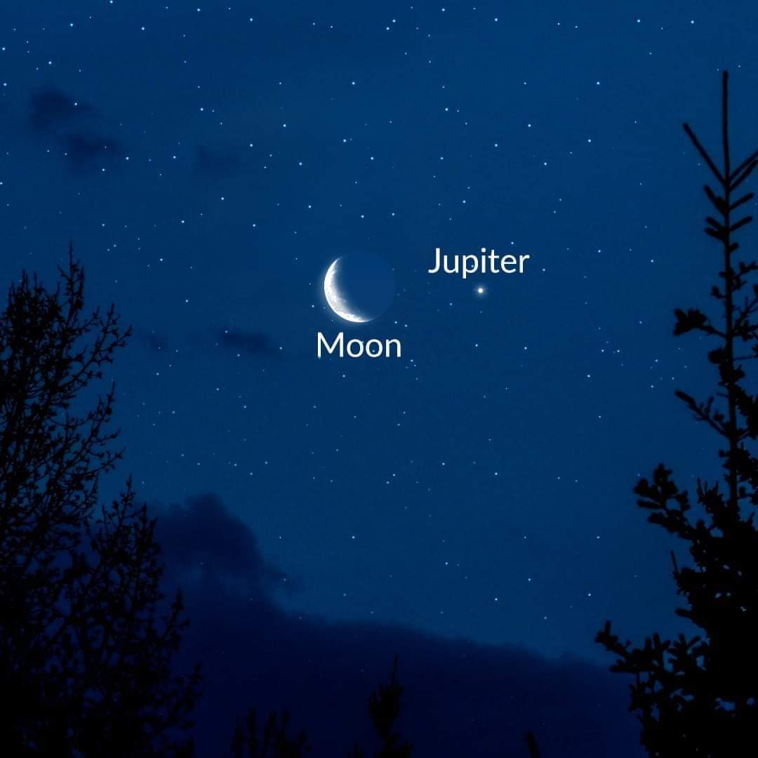 drhafezster's tweet image. #skyobservers  Don&apos;t Miss the Moon-Jupiter Conjunction! 🔭🔭

On July 11, 2023, get ready for a celestial rendezvous as the waning crescent Moon and Jupiter come together in the constellation Aries. 🌙🪐⬇️