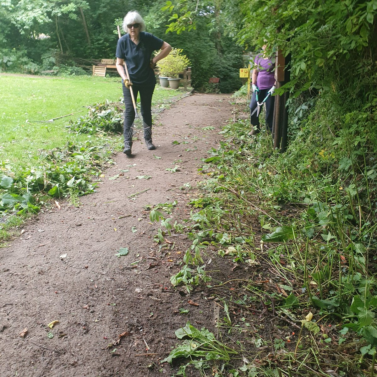 Chur Envi Volunteers tweet media