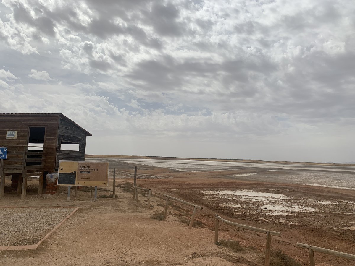 B3iS_Project's tweet photo. The last samples were collected in Spain, at Peña Hueca lagoon. This #hypersaline sulphated lagoon is a curious lagoons in the province of Toledo and an interesting #Astrobiology site. In a hot summer day and after a long journey, we had a lot of fun collecting samples. https://t.co/n7VnrglsZ0