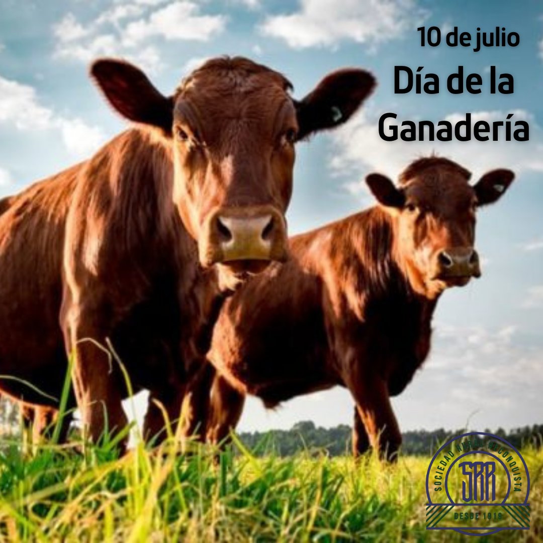Sociedad Rural Rqta tweet media