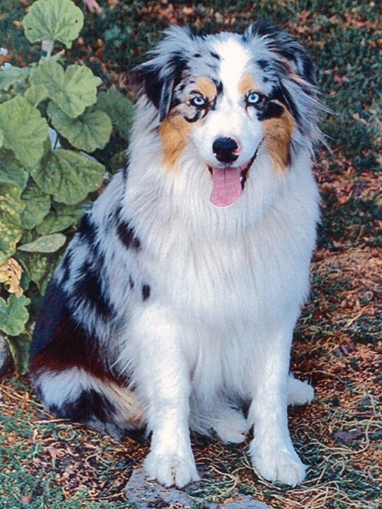 MoonRuby🌙 tweet media