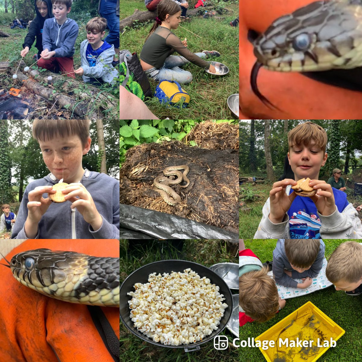 RFewStAnnes's tweet photo. A FAB last Forest School for this school year, we found snakes, voles, made popcorn, did pond dipping &amp; roasted marshmallows- amazing! 🐍🌳🍡🔥🐚🍿@StAnnes_EHS @FHuntStAnnes @IPStAnnes @LBrawnStAnnes @DApplefordSACA @FarmLinkEdu https://t.co/7h3EoFPK1B