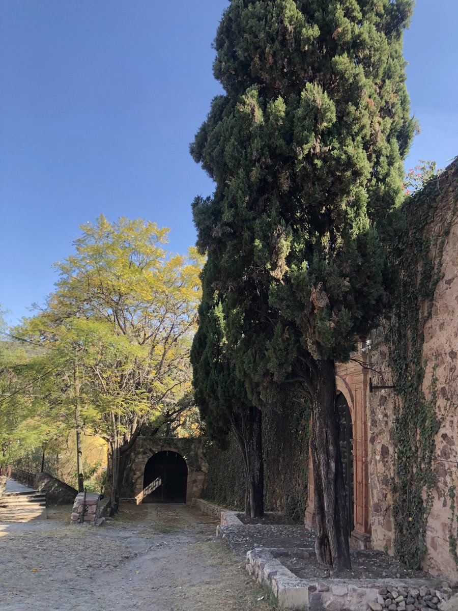 Elias Calderón tweet media