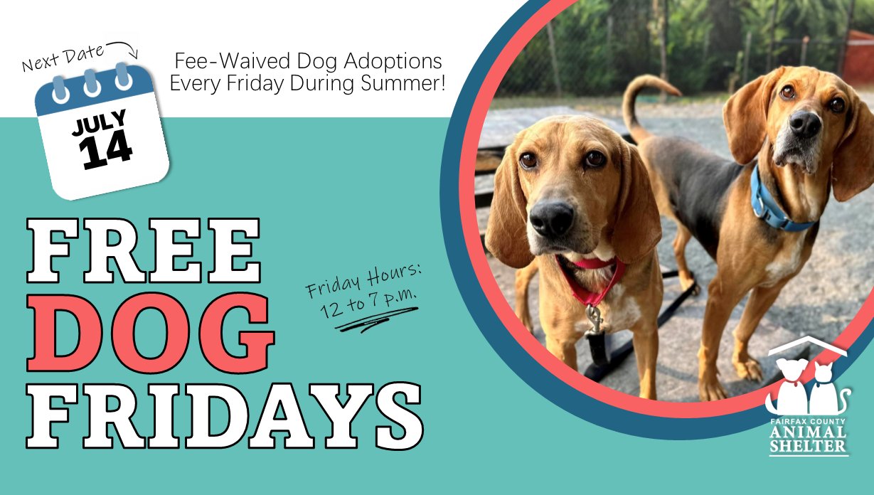 Adoption days cheap near me