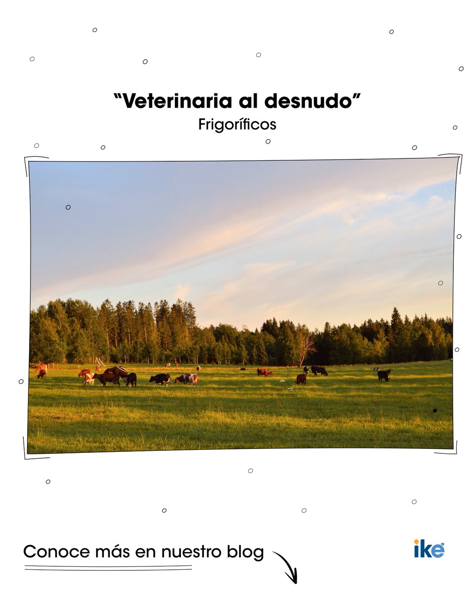 ike_argentina's tweet photo. Ya se cumple casi un mes desde que @gastonbritosvet lanzó "Veterinaria al Desnudo". En el 4to capítulo se toca un tema controversial, lee el resumen en nuestro blog!
https://t.co/fF91Q2ddTO https://t.co/lTK6p81Ofz