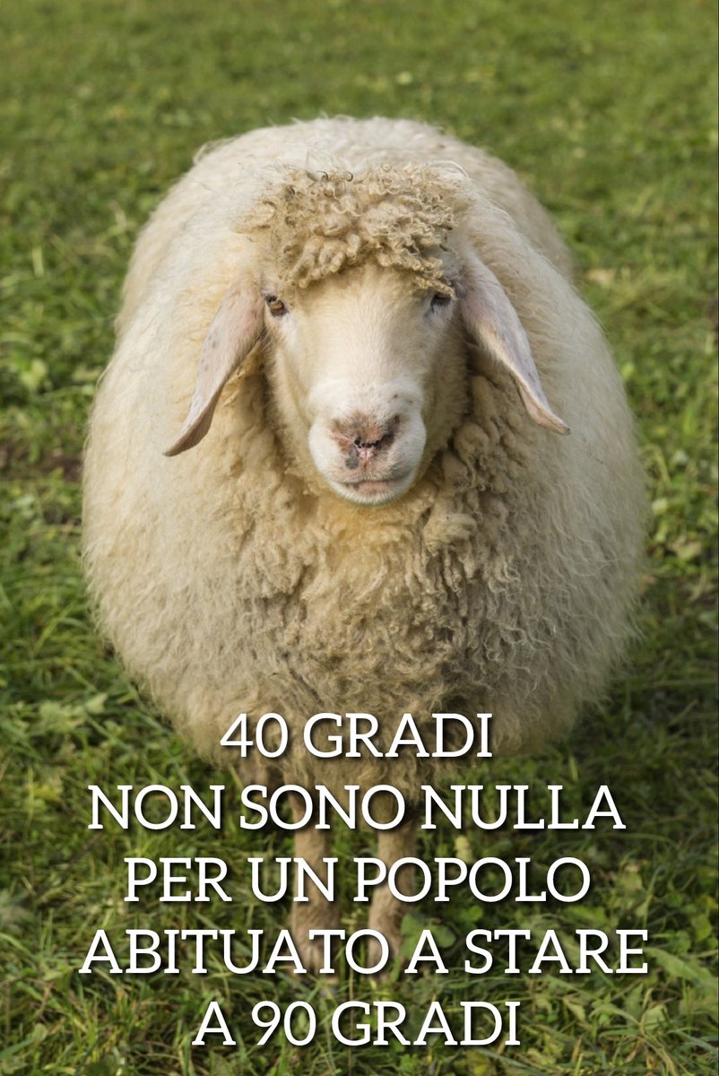 Fa  ancora   #caldo 
🐑😂😂🐑🤣🤣🐑
Tanto tanto #caldo