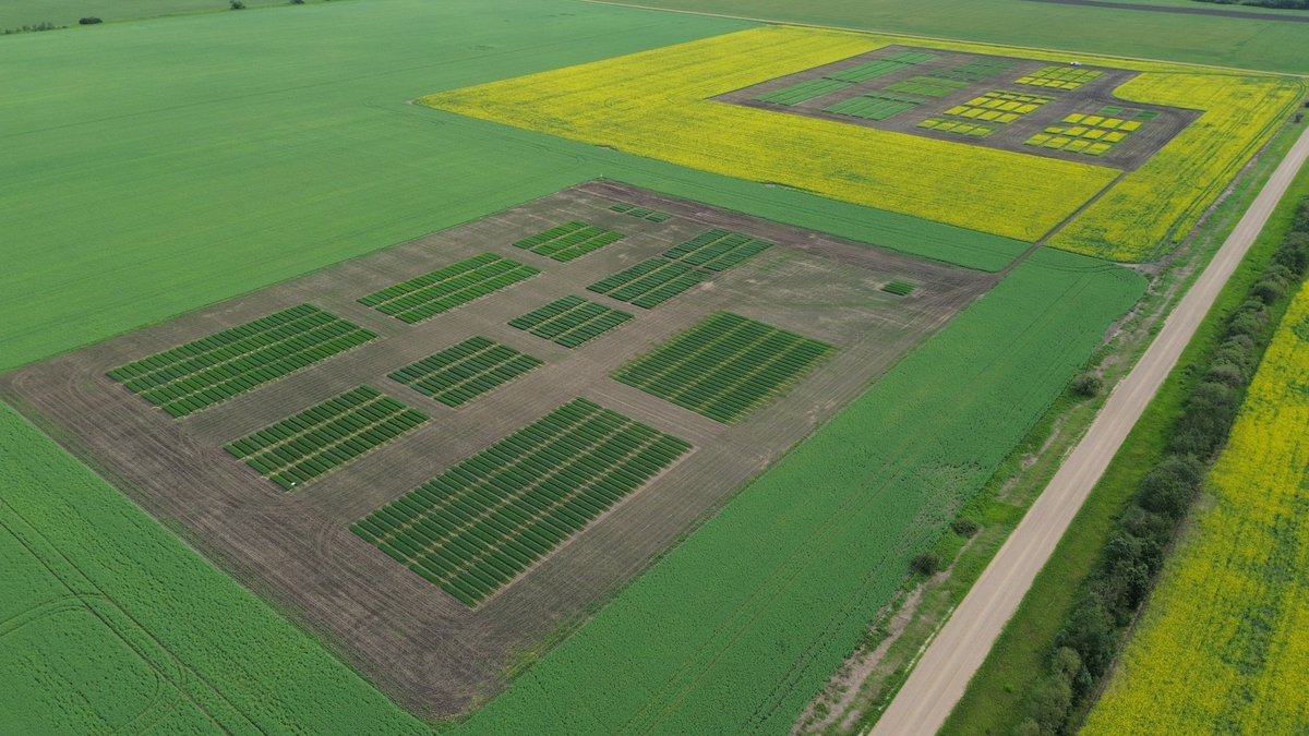 DanielPucko's tweet photo. Nothing better than freshly cut plots at @LakelandCollege https://t.co/nDILQfccCs