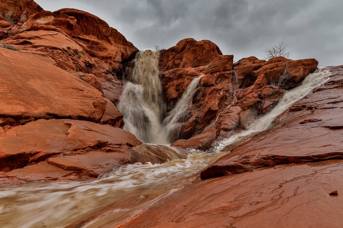 ShireyAndrew's tweet photo. @CanonUSAimaging https://t.co/OFg3yta1Mk