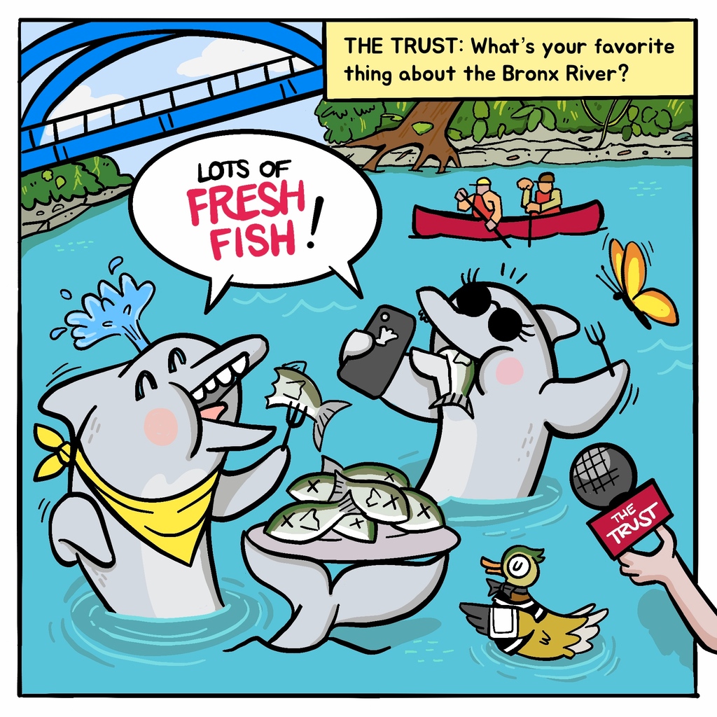 vertiqalco's tweet photo. The Bronx River was once a waste dumpsite, but now it's healthy enough that two dolphins appeared the first time in years! New York City Trust commissioned me to create a short comic to tell the tale!⁠
.⁠
.⁠
.⁠
.⁠
#illustration #sketchnotes #digitalart #scribing https://t.co/w6p3jKUUDD
