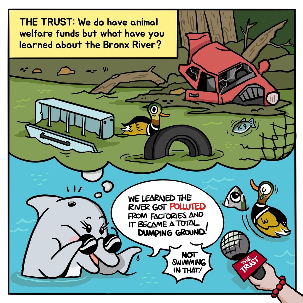 vertiqalco's tweet photo. The Bronx River was once a waste dumpsite, but now it's healthy enough that two dolphins appeared the first time in years! New York City Trust commissioned me to create a short comic to tell the tale!⁠
.⁠
.⁠
.⁠
.⁠
#illustration #sketchnotes #digitalart #scribing https://t.co/w6p3jKUUDD
