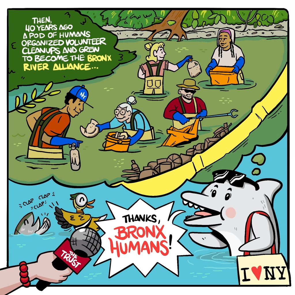 vertiqalco's tweet photo. The Bronx River was once a waste dumpsite, but now it's healthy enough that two dolphins appeared the first time in years! New York City Trust commissioned me to create a short comic to tell the tale!⁠
.⁠
.⁠
.⁠
.⁠
#illustration #sketchnotes #digitalart #scribing https://t.co/w6p3jKUUDD