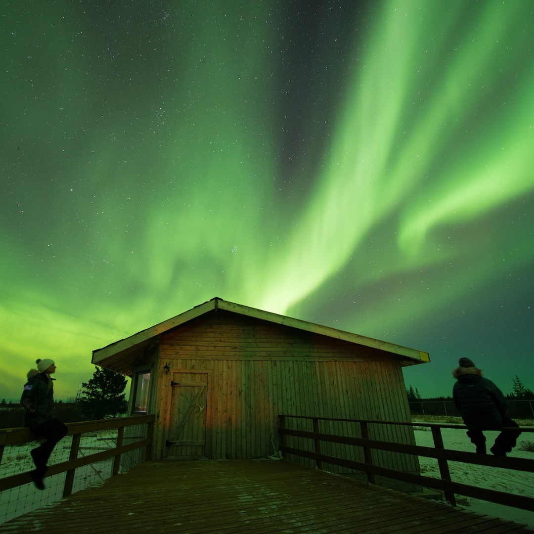 Did you know that many MLOA members are also eco tourism operators? Learn more about our members right here: mloa.com/members/

📸 Nanuk Polar Bear Lodge

#mloa #huntfishmb