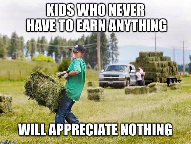 TillageTools's tweet image. There are many life lessons learned on the farm. Whether it is the hard way or the easy way. Haying is a good example. What other lessons did you learn on the farm that stuck with you? 

#haying #summer2023 #ag #farmkid