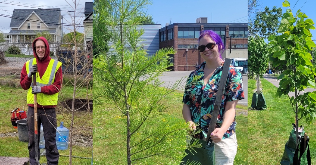 🌳 Next time you're on the bike path, check out the 15 new trees planted to bring some extra shade to campus. 11 of these trees were planted by <a href="/MassDCR/">MassDCR</a>. Thank you for improving our campus!

🔽 👏
<a href="/SSUGeography/">Geography + Sustainability Salem State University</a>