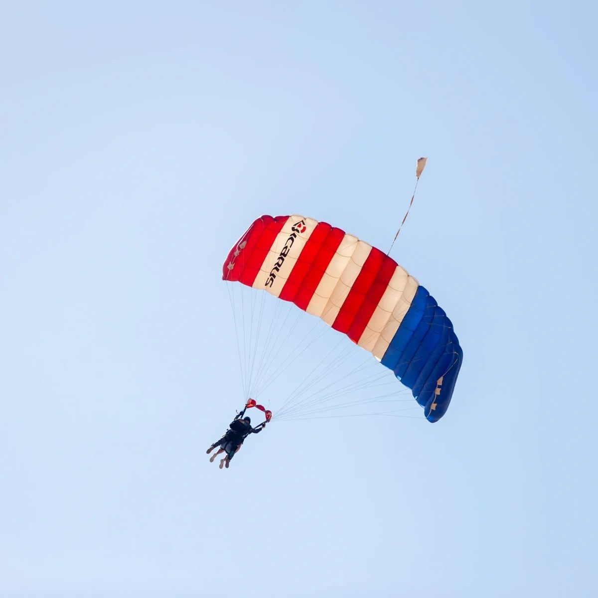 skydive_phoenix's tweet photo. Planning a day of fun starts online! Head to our website and see what kind of excitement awaits: https://t.co/qKGCJRBySN. https://t.co/3jKyzyldXU