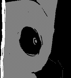 TheJuneLament's tweet photo. lost in the archives https://t.co/CnCQ1knTuL
