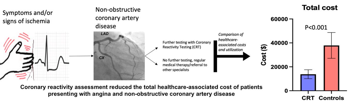 Coronary reactivity testing in ANOCA and healthcare costs. Support for the integration of CRT in clinical practice #AHAJournals #cardiotwitter @AliAhmad507 @LermanAmir @rajivxgulati @Michel_CorbanMD @Mdtakumi @ChetRihal ahajournals.org/doi/abs/10.116…