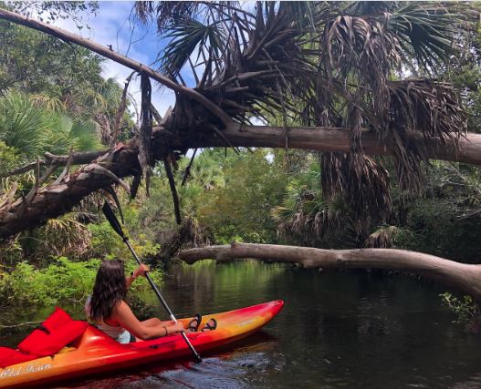 ocalamarion's tweet photo. Rental kayaks are back at #JuniperRun in the #OcalaNationalForest! ๐ถ
Kayaks and the shuttle are available Friday, Saturday and Sundays. @NFinFlorida
.
๐ธ @justinealbright(IG) https://t.co/b6ottfQkI9
