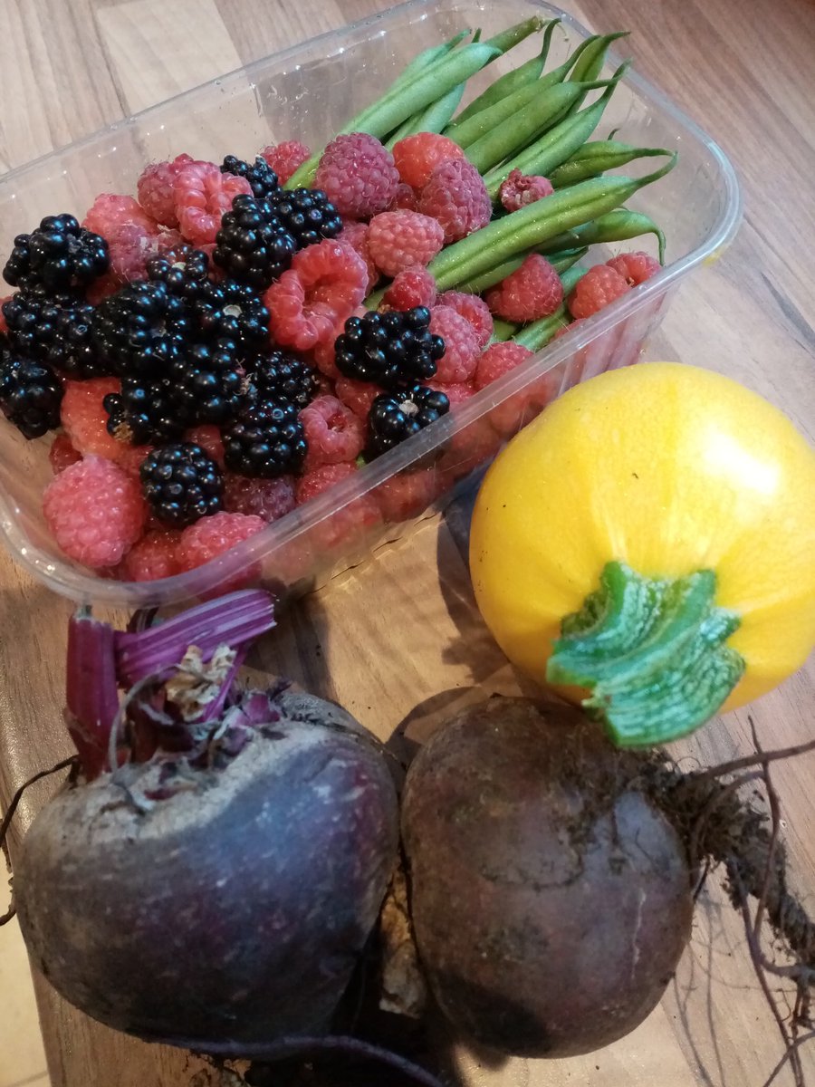 Jo Sunderland tweet media