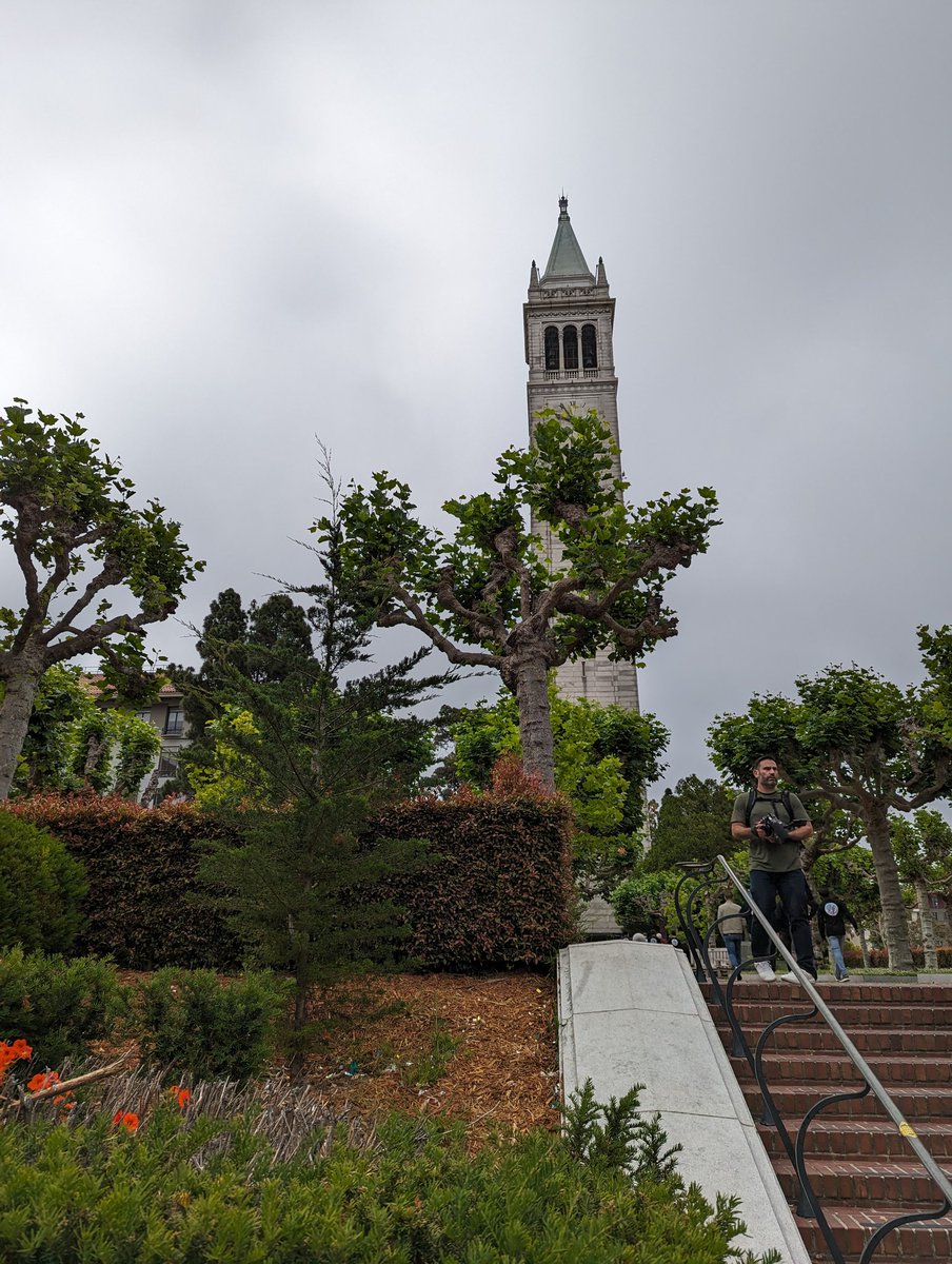 ArjanVanEersel's tweet image. Good morning from Berkeley.

Yes... Photography isn&apos;t one of my talents.

#PolkadotAcademy