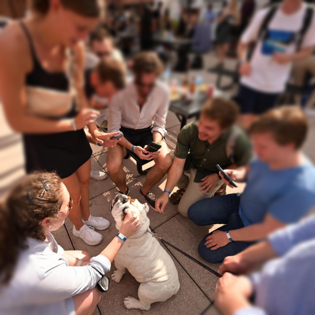 GradGeorgetown's tweet photo. We’ll miss you, Jack! We’re sad to share that @Georgetown’s mascot and beloved furry friend, Jack the Bulldog, has passed away after a brief illness. RIP, good boy 💙

#GUJackBulldog #GeorgetownUniversity - @GeorgetownJack https://t.co/ezZRCE7pXO
