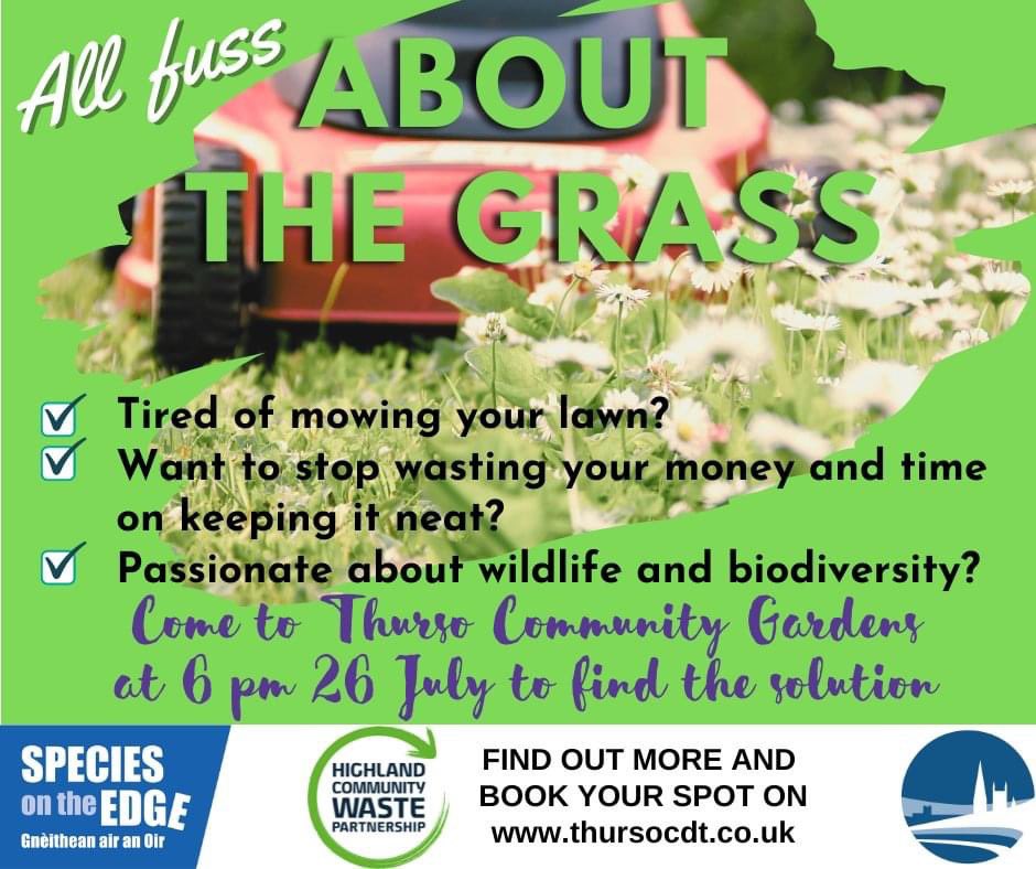 🌿 Join us at Thurso Community Gardens on July 26th, from 18:00-20:00! Let's chat about low-maintenance, sustainable, wildlife-friendly alternatives to Caithness lawns. Bring gardening gloves and a trowel, and we'll provide plants and compost. thursocdt.co.uk/buy/p/fuss-abo…