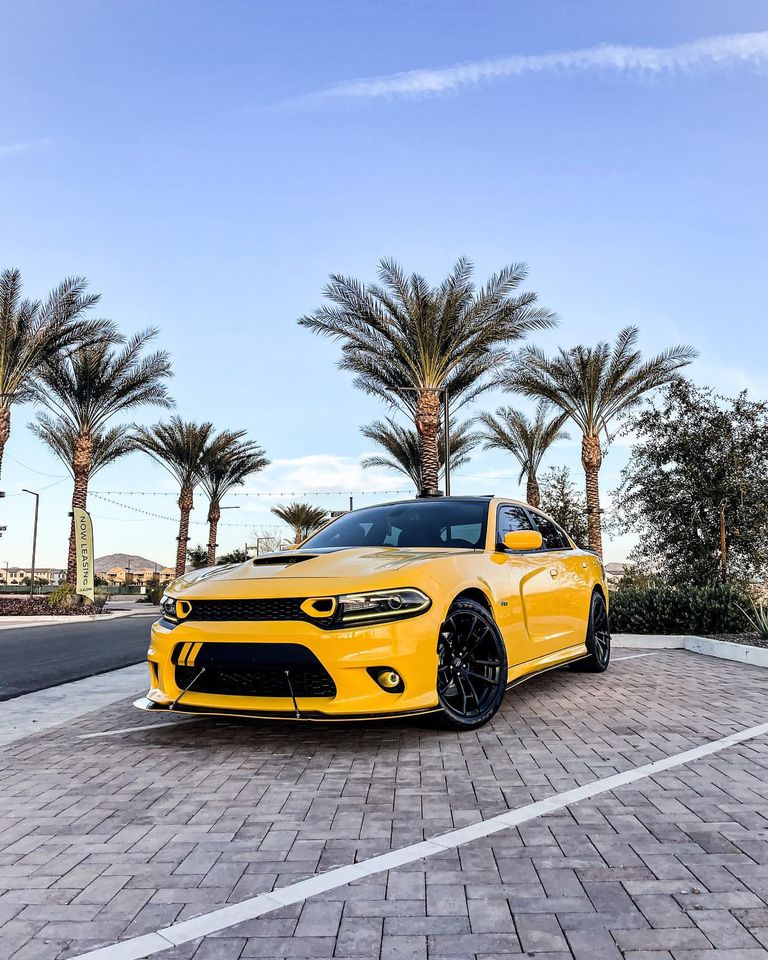 SheridanCDJR's tweet photo. Legendary looks. #DodgeCharger
📷: @yellowjacketdaytona https://t.co/WpAGuL0IFQ