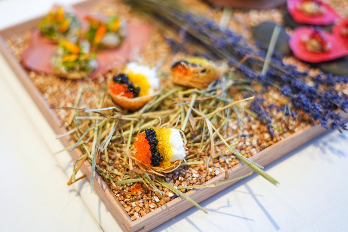 Versantehotel's tweet photo. Feast your eyes on some of the mouthwatering dishes that await at Acre Through the Seasons throughout Series 2, a menu release inspired by Farms, Vineyard &amp; Harvest. Read more about the experience in this @purplechives blog post: https://t.co/ACz5MA1Zu4

[📸: @purplechives] https://t.co/lVGlWISY4Z