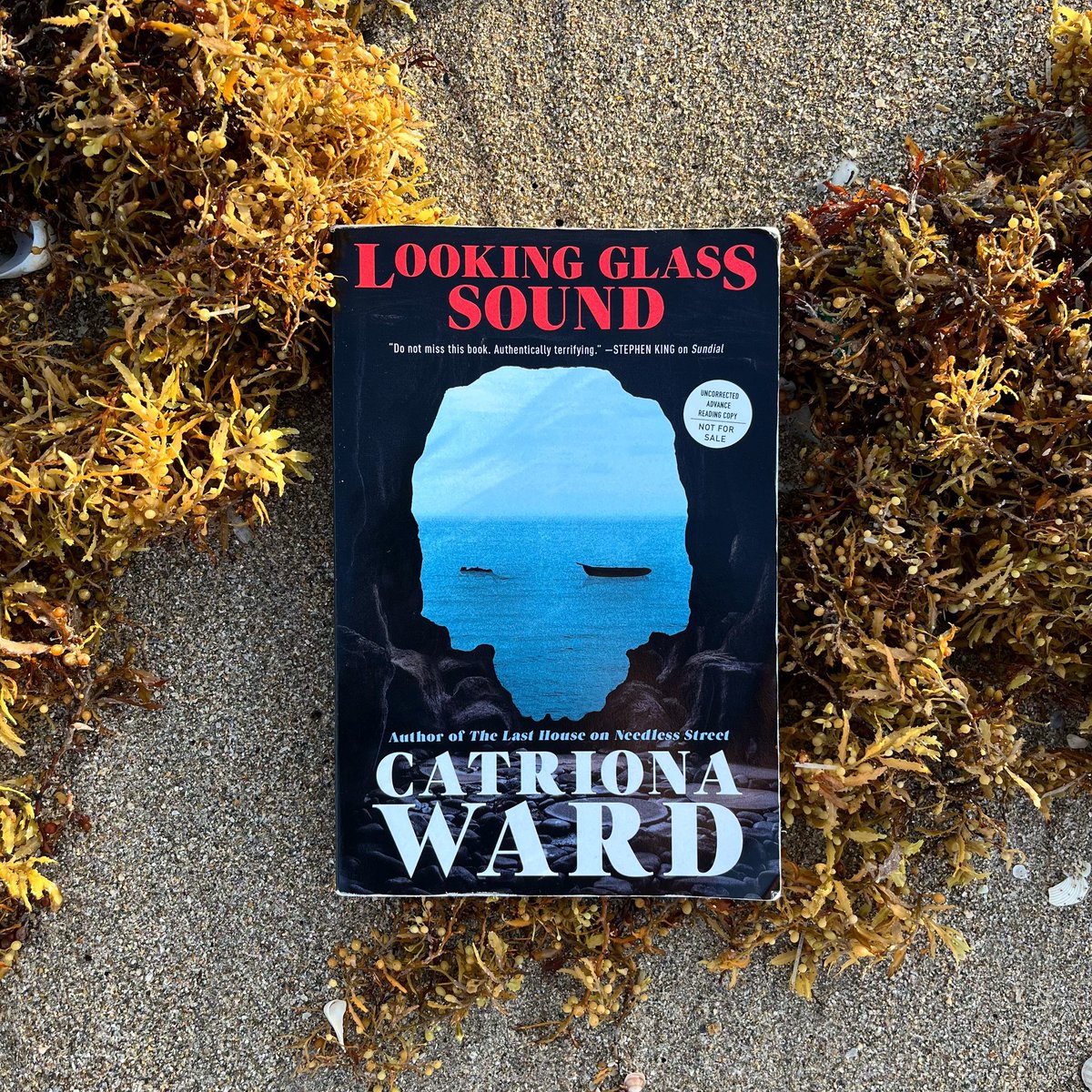 Many thanks to @TorNightfire and @Catrionaward for the ARC 🪞✨ with every release, I fall more and more in love with Ward’s writing and storytelling, which is especially true in the case of Looking Glass Sound 💖 5 stars from me‼️
#lookingglasssound #tornightfire