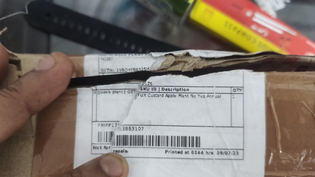 🦋𝔚𝔞𝔯𝔯𝔦𝔬𝔯 𝔒𝔣 𝔖𝔖ℜ🦋🇮🇳 tweet media