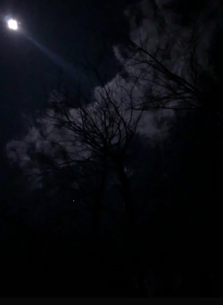 7695Live's tweet photo. Twilight In Tennessee: Best Nights to See Shooting Stars

https://t.co/ZEP7lAvwwa

#shootingstars #meteorshower #nashville #partyvenue #starparty #nashvillevenue #eventspace https://t.co/0htCGbOhJ5