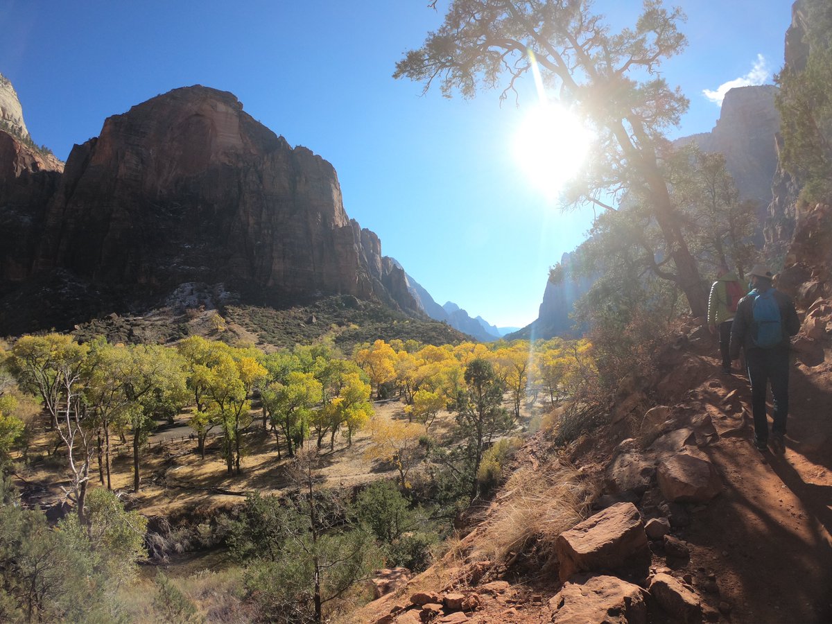 Adrian franco tweet media