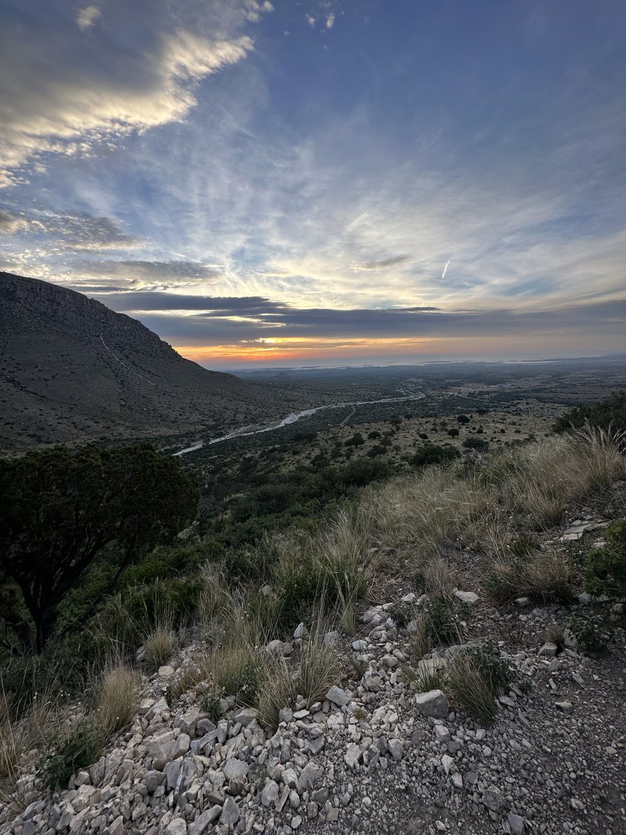 Adrian franco tweet media