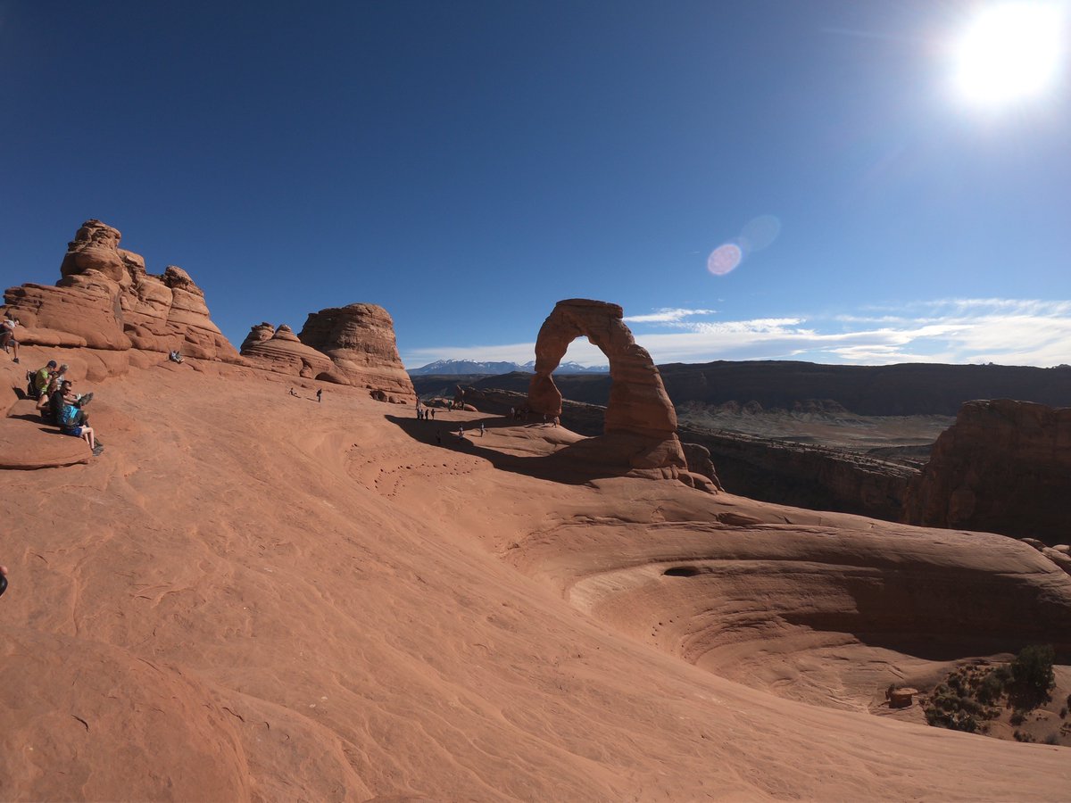 Adrian franco tweet media