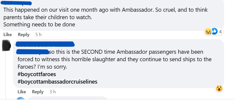 FawnFallowheart's tweet photo. #StopTheGrind So #AmbassadorCruise passengers saw a #Grindadrap on 6th June too. It was where the baby #PilotWhale with the foetal folds was killed along with 62 other #PilotWhales &amp; they still went there yesterday when their ship was docked in view of a Grind, 💷💷 over MORALS https://t.co/vSTUfgXfAt