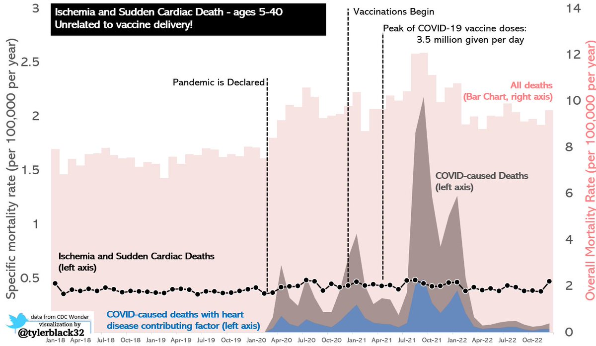 Continuing my series on debunking anti-vaxx "died suddenly" claims - here's all ISCHEMIA AND HEART DEATHS in young people compared to COVID, and all-cause mortality.

Again, completely unrelated to vaccines.

Peaks &amp; contours in both total &amp; cardiac mortality follow COVID!