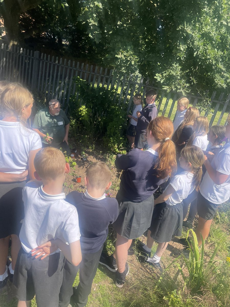 Year 6 had a great time in the allotments with Kev! 🥕🥦🌽 <a href="/GrangeMissA/">GrangeMissA</a>