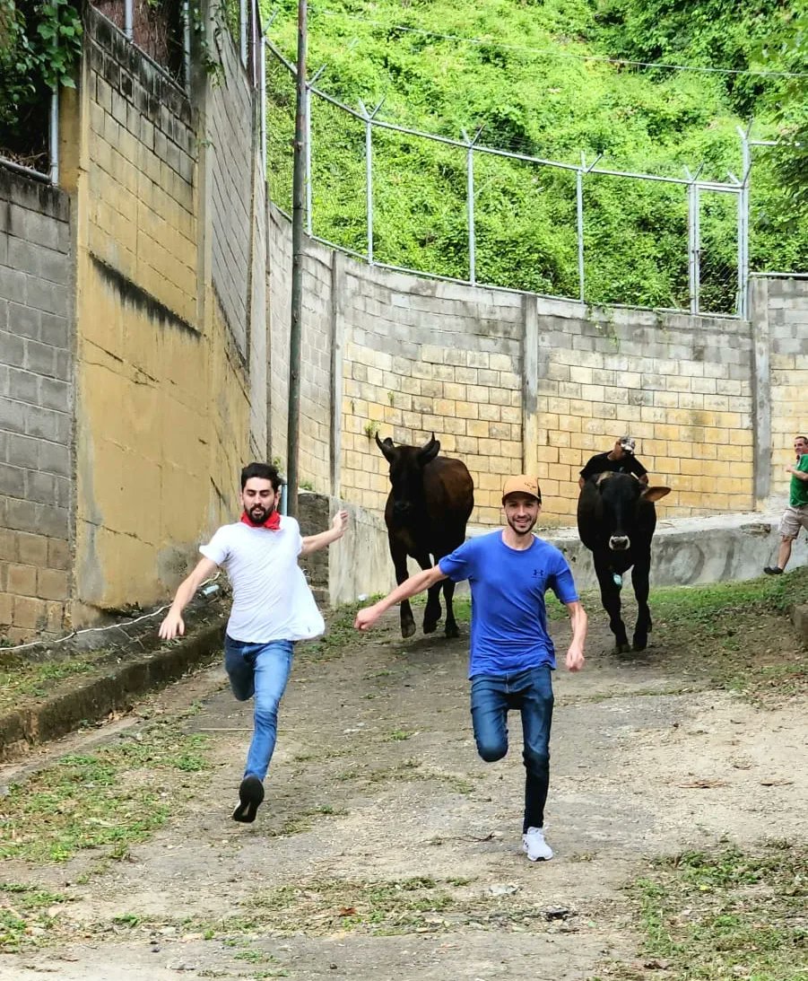 Ibane Azpiritxaga Zubizarreta tweet media