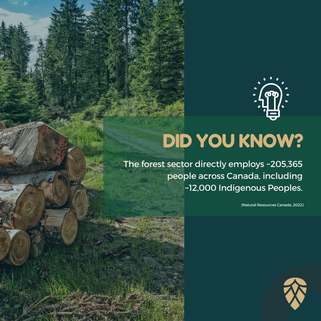 #DYK the forest sector is a key provider of jobs and income in ~300 Canadian communities? There are so many different opportunities and ways to get involved in forestry in your community. The Canadian forest sector has opportunities for anyone and everyone! 🌳🌲 #ForestryForward