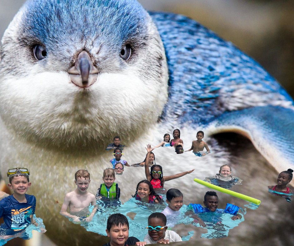 Friends School MH tweet media