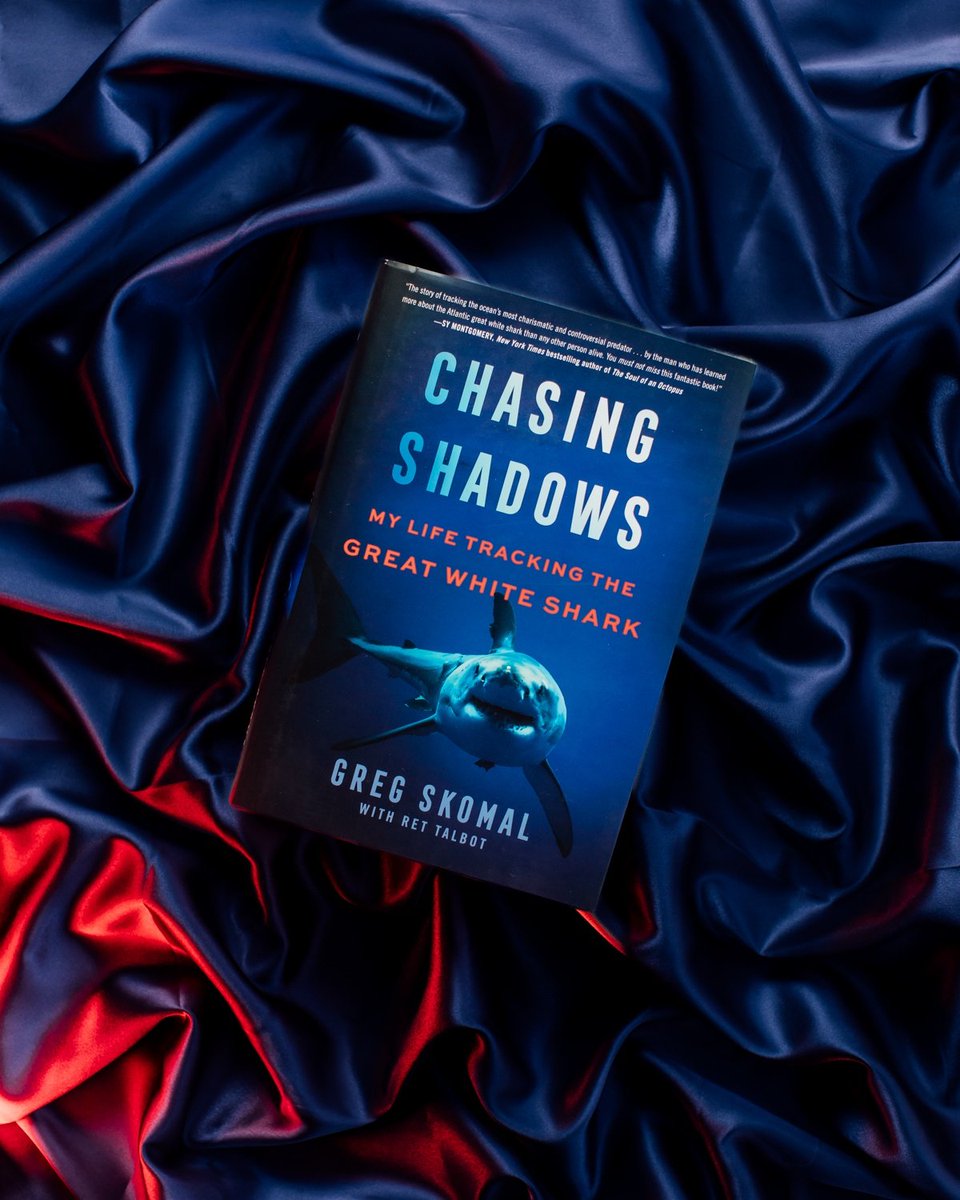 William Morrow (@wmmorrowbooks) on Twitter photo #SharkWeek fans: this book is for you! Chasing Shadows by <a href="/GregSkomal/">Greg Skomal</a> <a href="/RetTalbot/">Ret Talbot</a> dives right into the world of the great white shark.
Get your copy today:
harpercollins.com/products/chasi⦠#SharkWeek fans: this book is for you! Chasing Shadows by <a href="/GregSkomal/">Greg Skomal</a> <a href="/RetTalbot/">Ret Talbot</a> dives right into the world of the great white shark.
Get your copy today:
harpercollins.com/products/chasiβ¦