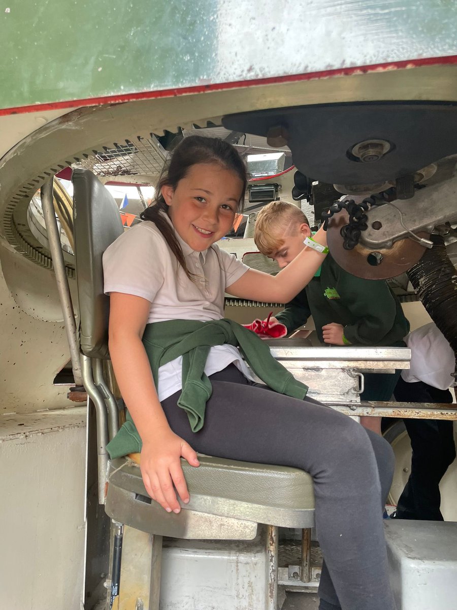 Ash Green Primary tweet media