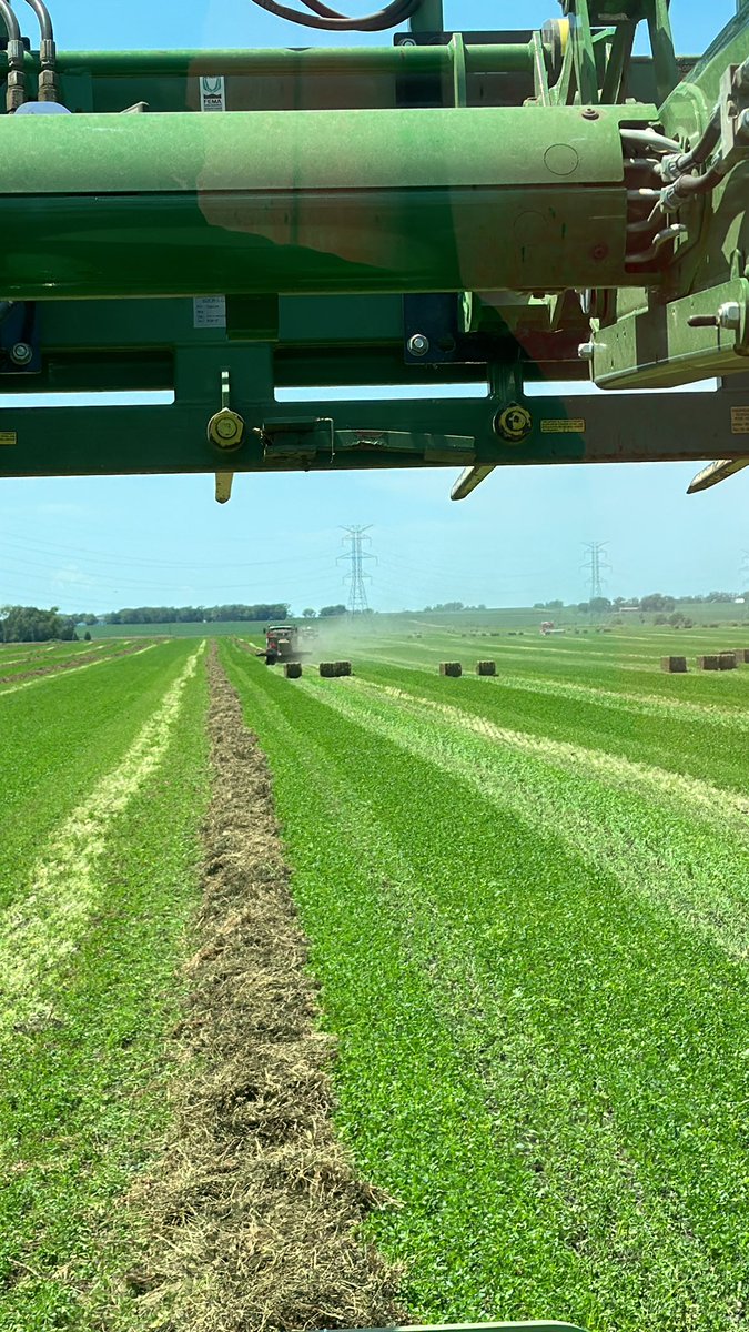 Green is good brown is bad and white is bad too….  #haying2023
