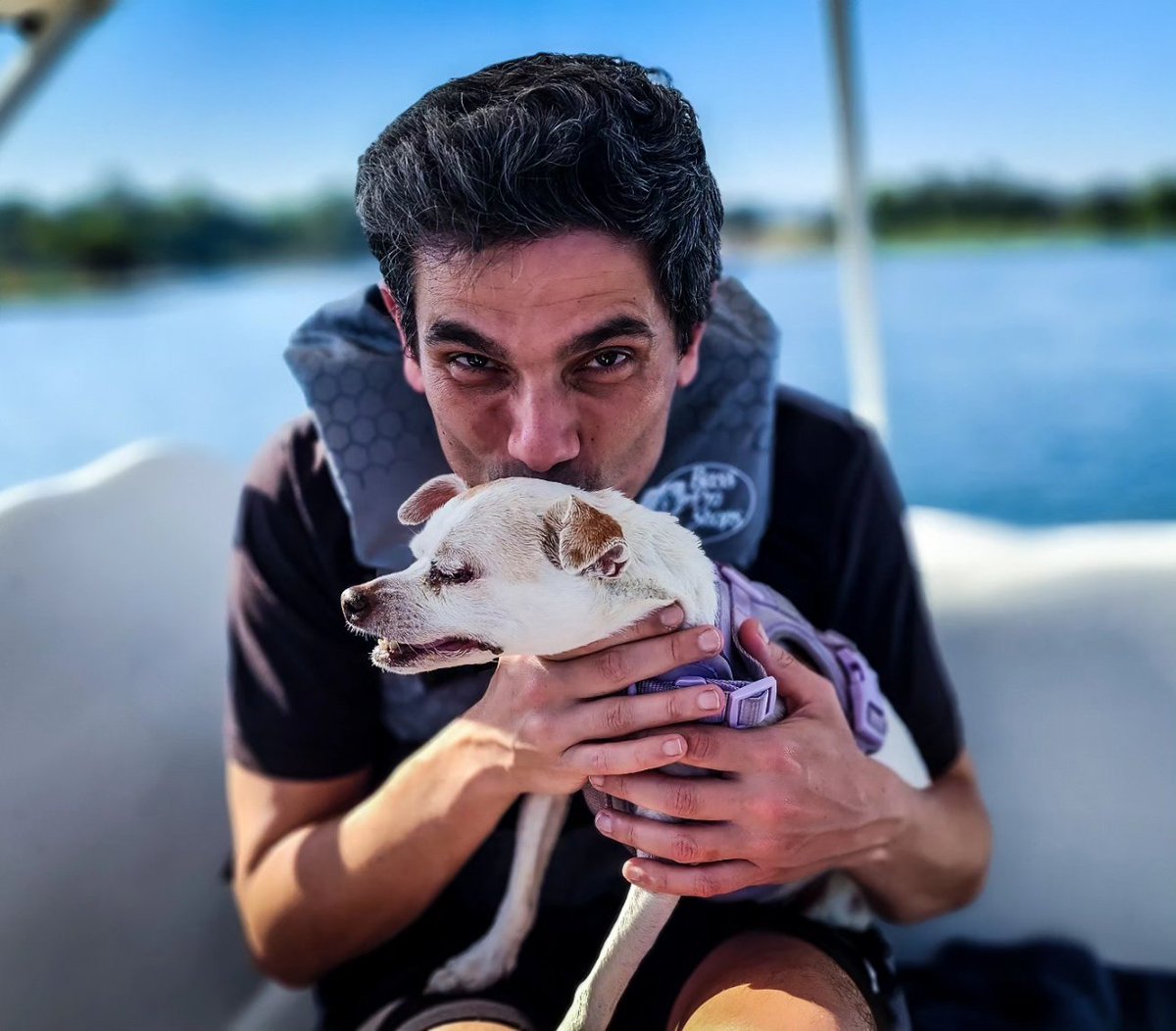 It's this little girl's one year since cancer (1 week to live) diagnosis 💝

The power of love, cbd/thc, homeopathic: herbs, powders and remedies (Eastern Medicine), amazing veterinarians (Sharp &amp; Holistika), Trupanion (Pet Insurance) and most importantly all of you. Thank you ❤️