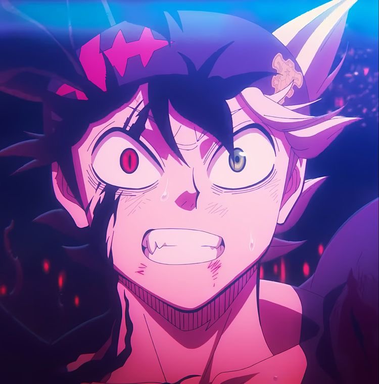 ANIMEO tweet media