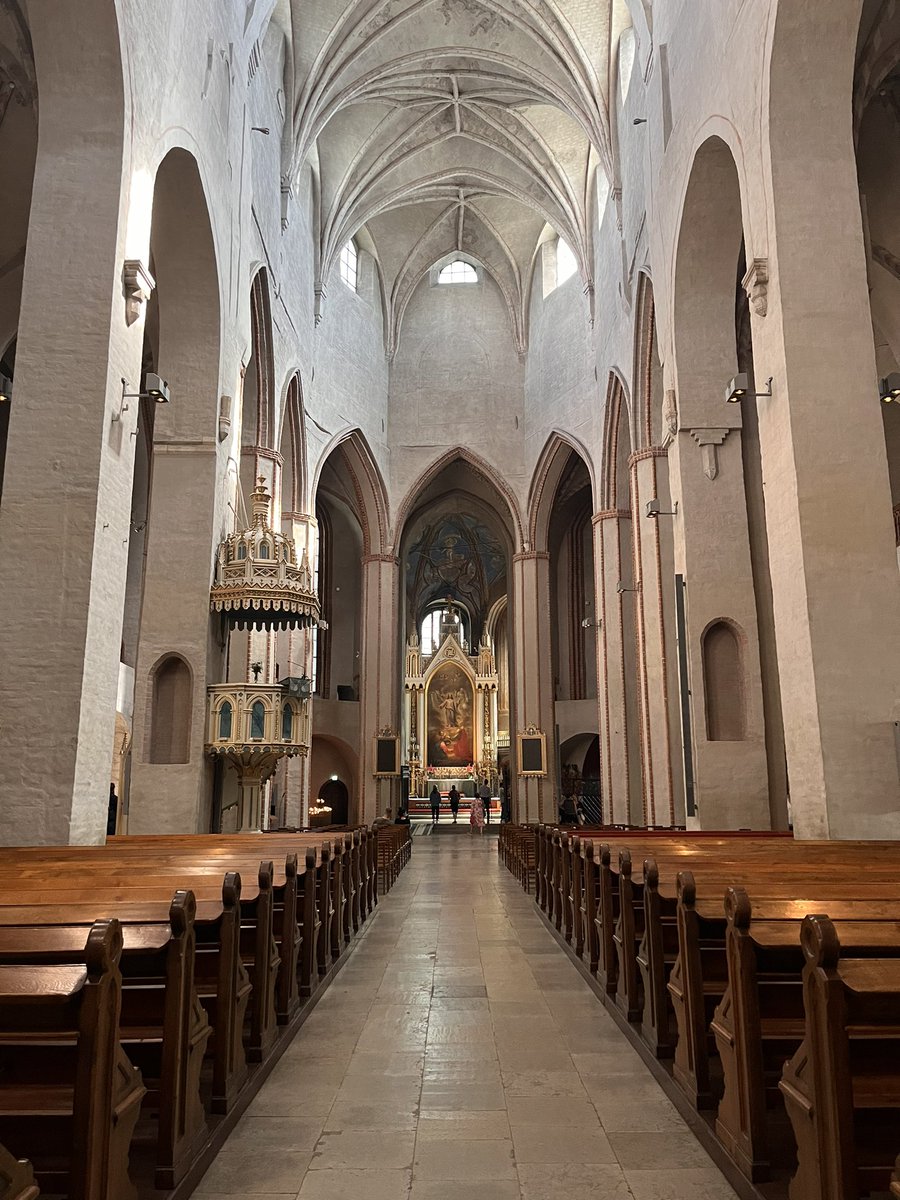 hannah_cebolla's tweet photo. #ITiCSE2023 Day 1✅

Today was filled with amazing talks, my poster presentation as well as a very good use of my lunch break to go and see Turku Cathedral https://t.co/7unwbuPnLb