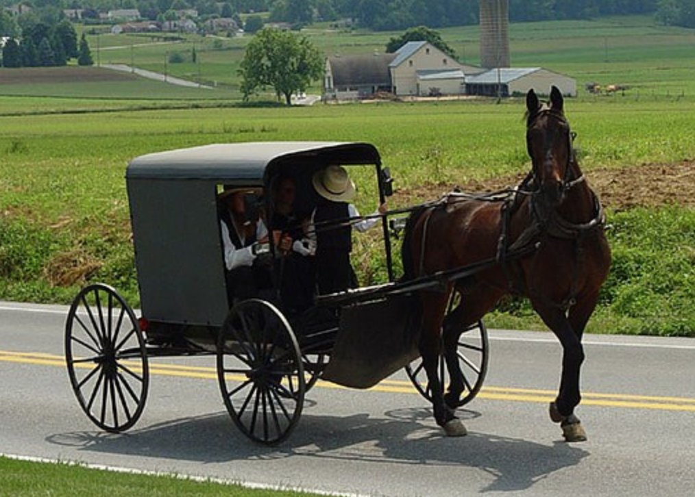 Ed Krassenstein tweet media