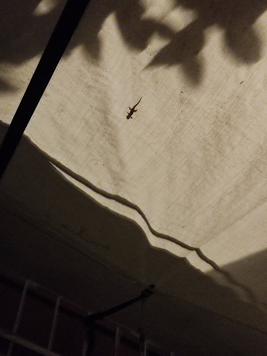 Hoş geldin dost <a href="/06erenkaya/">Eren</a>